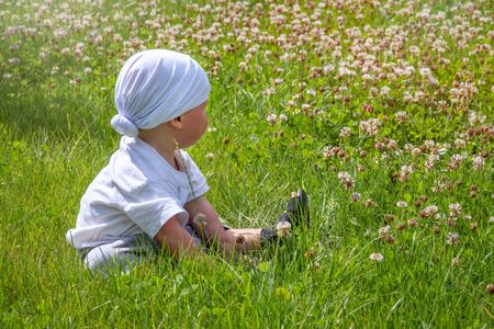 Happy little boy sits in a field of green grass and flowers. Little boy plays on a green flowering lawn. Little boy walks on a green flowering lawnの写真素材