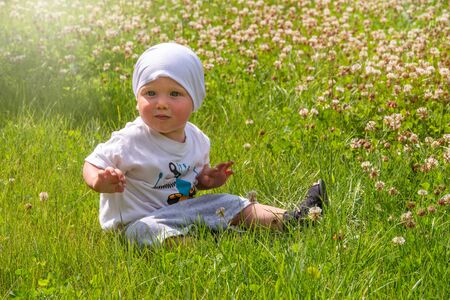 Happy little boy sits in a field of green grass and flowers. Portrait of little boy plays on a green flowering lawn. Little boy walks on a green flowering lawnの写真素材