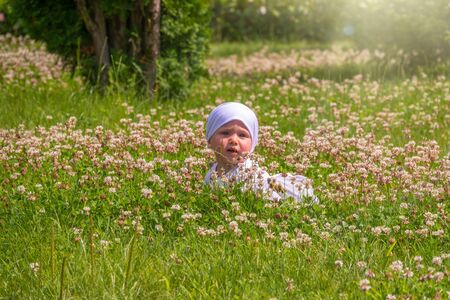 Happy little boy lays in a field of green grass and flowers. Little boy plays on a green flowering lawn. Little boy walks on a green flowering lawnの写真素材