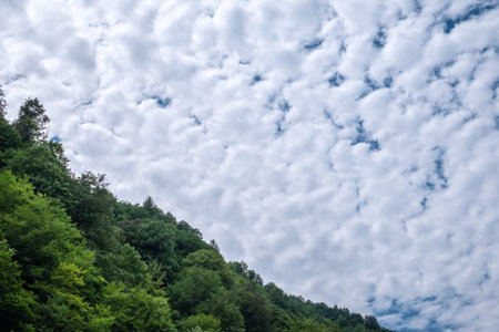 Dense textured clouds over the green forest on the hillside. Cloudy day in the green mountains....