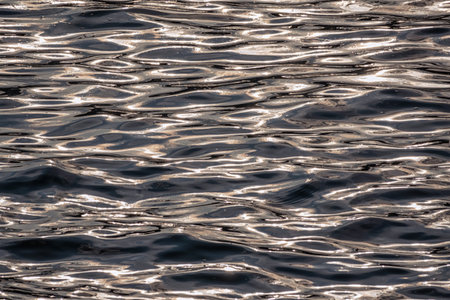 Dark water surface. Gray abstract background of wavy water surface