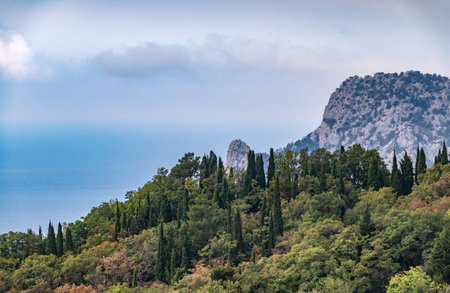 Rocky mountain on sea shore with high green trees on slope. Seascape with cloudy sky.