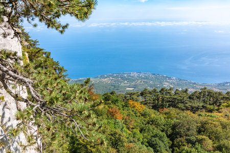 Green trees on the mountainside on sea shore. Seascape with beautiful cloudy blue sky