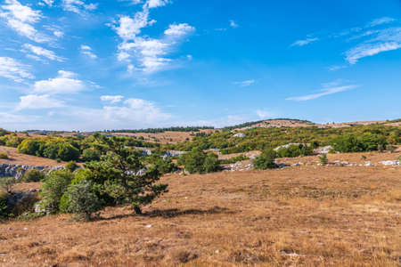 Bright autumn day in the mountains. Steppe landscape on a mountain plateau with low trees.の写真素材
