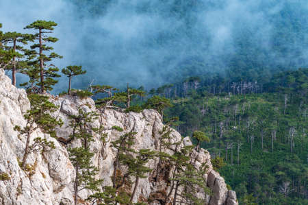 A majestic view of the rocky mountains and the valley in fog and clouds. Creamy fog covered the mountain valley in sunset light. Misty sunset over Crimea Mountains. Location place Ai-Petri, Crimea.の写真素材