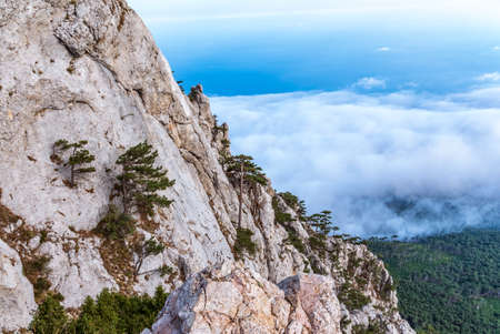 High stone rock and the forest on a hillside in the fog on blue sky background. Green pine forest on the mountainside. Fog in the mountains on a cloudy day.の写真素材