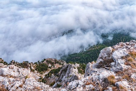 High stone rock in the dense fog. Green pines on the mountainside. Heavy fog in the mountains on a...