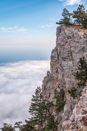 High stone rock in the dense fog. Green pines on the mountainside. Heavy fog in the mountains on a cloudy day.の写真素材