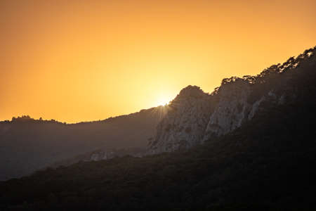 Arrayの写真素材