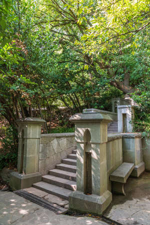 Old stone steps in the green park. The steps in the park are surrounded by green trees.の写真素材