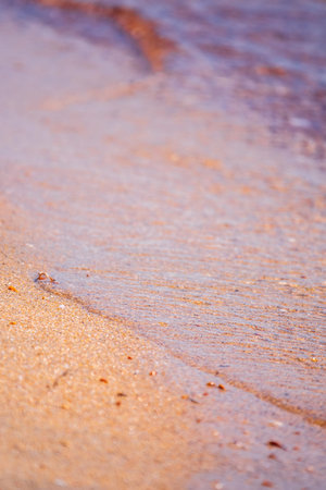 Soft wave of the sea on the sandy beach. Sea wave and gold sand.