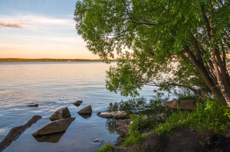Lake with pine and birch forest on the shores at summer or early autumn sunset. The sky is reflected in the waterの写真素材