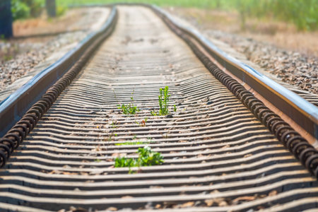 Railway rails going into the distance. Railway rails and sleepers close-up. A railway that goes...