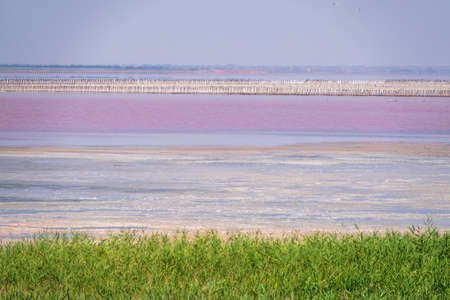 A beautiful salt lake with pink water. Beautiful view of pink lake on summer dayの写真素材
