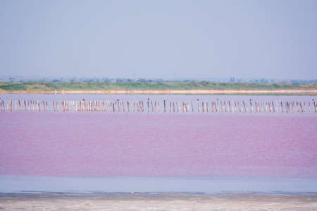 A beautiful salt lake with pink water. Beautiful view of pink lake on summer dayの写真素材