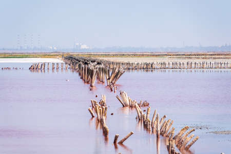 A beautiful salt lake with pink water. Beautiful view of pink lake on summer dayの写真素材