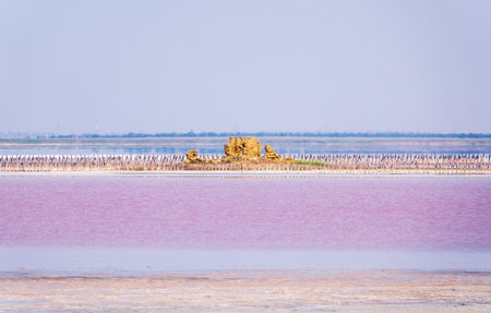 A beautiful salt lake with pink water. Beautiful view of pink lake on summer dayの写真素材