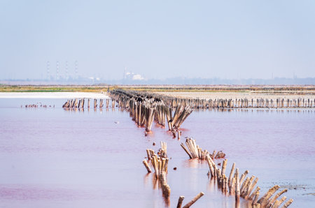 A beautiful salt lake with pink water. Beautiful view of pink lake on summer dayの写真素材
