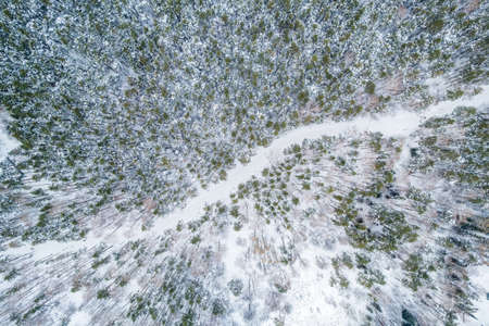 Aerial view of the road in the winter forest with high pine or spruce trees covered by snow. Driving in winter. Natural winter landscape from air. Forest under snow a winter time.の写真素材