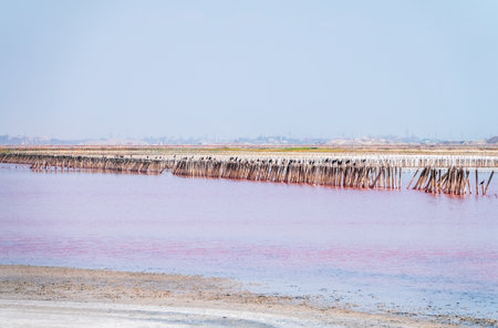 A beautiful salt lake with pink water. Beautiful view of pink lake on summer dayの写真素材