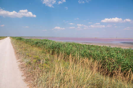 The road between the sea and pink salt lake. Road between two salt lakesの写真素材