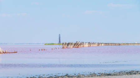 A beautiful salt lake with pink water. Beautiful view of pink lake on summer dayの写真素材