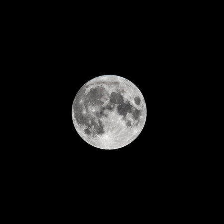 Detailed image of the full moon. Full moon against the black night sky. Full moon background...
