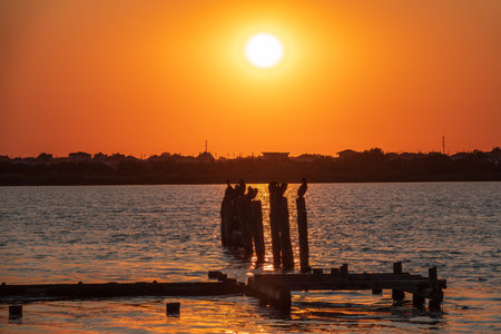 Beautiful red and orange sunset over sea, the sun goes down over sea. Dramatic Sunset Sky. A flock of cormorants sits on old sea pier in orange sunset light. The great cormorant, Phalacrocorax carboの写真素材
