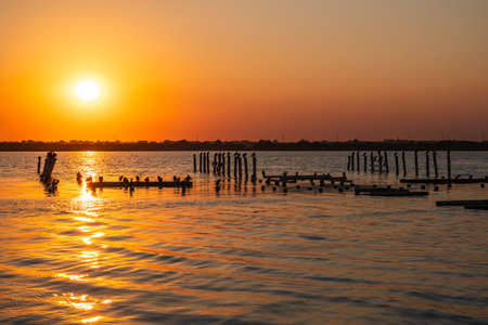 Beautiful red and orange sunset over sea, the sun goes down over sea. Dramatic Sunset Sky. A flock of cormorants sits on old sea pier in orange sunset light. The great cormorant, Phalacrocorax carboの写真素材