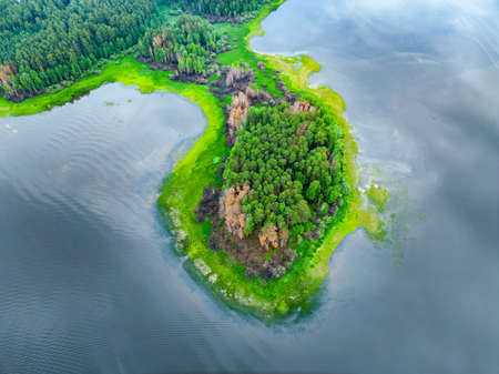 Aerial view of lake or river green shore with forest. summer season. Recreational concept. sky reflection. Ecology in Europe. Aerial viewの写真素材