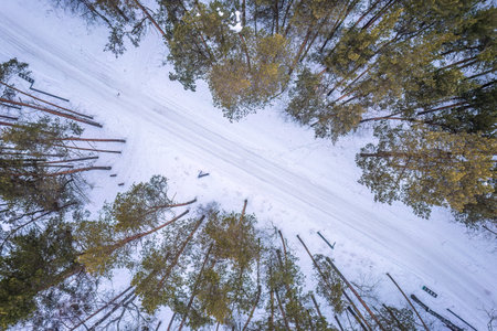 Aerial view of the road in the winter forest with high pine or spruce trees covered by snow. Driving in winter. Natural winter landscape from air. Forest under snow a winter time.の写真素材