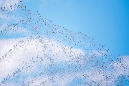Splashes of water against the blue sky background. Fountain, a jet of water against the blue sky.の写真素材