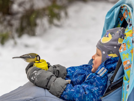 The Great tit eats seeds from a palm of little boy. A tit bird sitting on the hand and eating seeds. Hungry bird Great tit eating seeds from a hand during autumnの写真素材