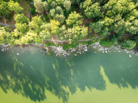Aerial view of lake or river green shore with forest. Summer season. Recreation concept. Sky reflection. Ecology. Aerial viewの写真素材