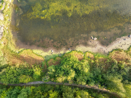 Aerial view of lake or river green shore with forest. Summer season. Recreation concept. Sky reflection. Ecology. Aerial viewの写真素材