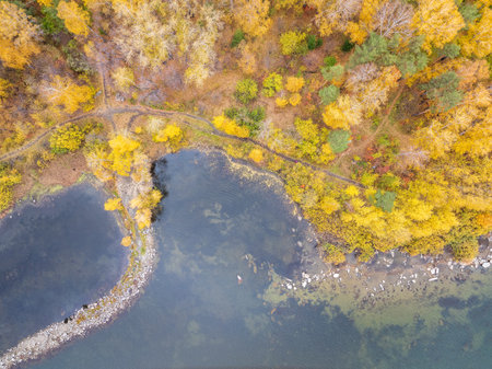 Colorful autumn forest with trees on the shore of a blue lake - top aerial view. Bright landscape autumn background with a bird's eye view. Copy Space template.の写真素材
