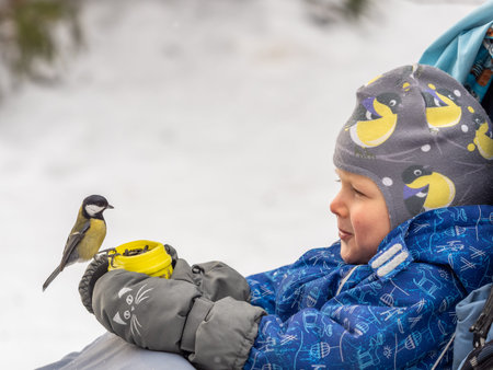 The Great tit eats seeds from a palm of little boy. A tit bird sitting on the hand and eating seeds. Hungry bird Great tit eating seeds from a hand during autumnの写真素材