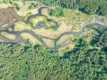 Aerial view of lake or river green shore with forest. Summer season. Recreation concept. Sky reflection. Ecology in Europe. Aerial viewの写真素材