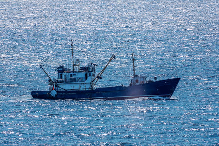 Fishing boat in blue sea and clear sky with birds flying overhead. Calm blue sea with the silhouette...