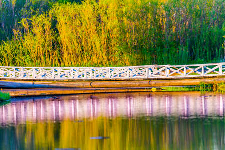 Rustic Bridge Going Over A Small Pond In The Woods Near Lake Mille Lacs Casting A Beautiful Reflectionの写真素材