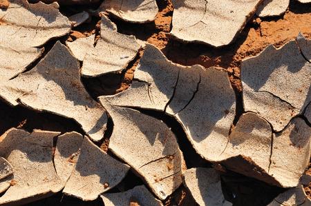 Patterns in the  mud at Sossusvlei, Namibiaの写真素材