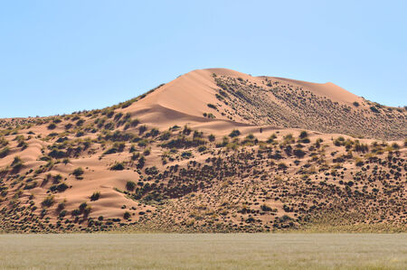 Dune landscape near Sesriem on the way to Sossusvlei, Namibiaの写真素材