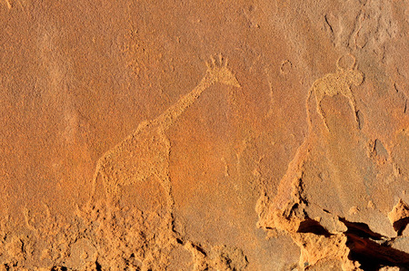 Rock engravings at Twyfelfontein,の写真素材