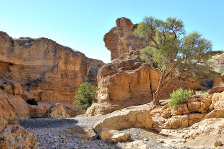 The Sesriem Canyon near Sossusvlei in Namibiaの写真素材