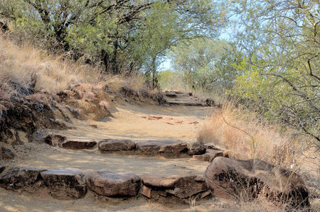 Footpath in the Free State Botanical Gardens in Bloemfontein, South Africaの写真素材