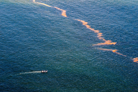 CAPE TOWN, SOUTH AFRICA - DECEMBER 20TH, 2014: A boat with unidentified people approaches pollution in the sea at Gordons Bay near Cape Townのeditorial素材