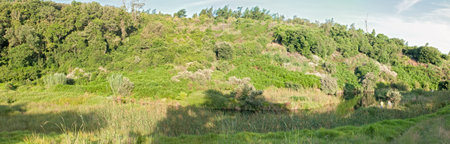 GEORGE, SOUTH AFRICA - JANUARY 4, 2015: Panoramic view of anglers in the Katrivier Nature Reserve in Georgeのeditorial素材
