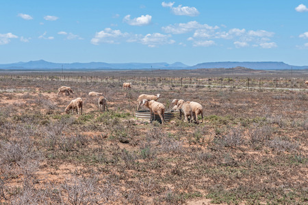 HANOVER, SOUTH AFRICA - DECEMBER 1, 2014: Typical arid Karoo landscape between Hanover and Richmondのeditorial素材
