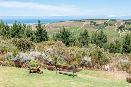 SIR LOWRYS PASS, SOUTH AFRICA - DECEMBER 4, 2014: View near Sir Lowrys Pass. Cape Point is faintly visible across the sea to the left.のeditorial素材