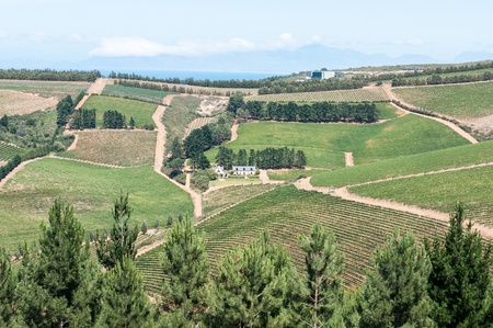 SIR LOWRYS PASS, SOUTH AFRICA - DECEMBER 4, 2014: View of a wine farm near Sir Lowrys Passのeditorial素材